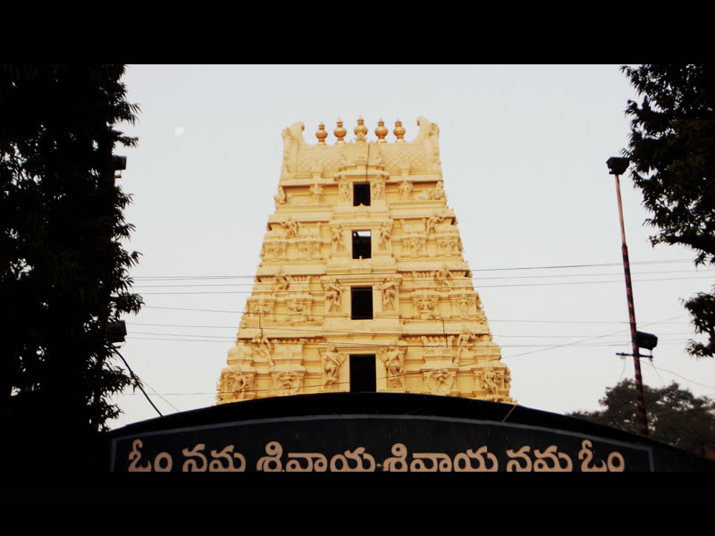 Devotees at temple darshan