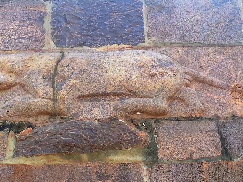 Leopard relief carved on the north wall of Srisailam temple